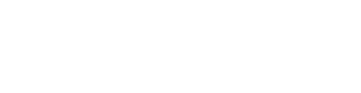 Analizzando le ricerche globali fatte in internet in 5 anni, abbiamo notato che risultano vari picchi di interesse sull’argomento. Il primo picco si riscontra nel dicembre del 2015 con un continuo diffondersi fino ai mesi di aprile/maggio del 2017. Da quel momento, fino agli inizi del 2018 la notizia ha avuto un andamento irregolare riscontrando in totale dieci picchi di interesse di cui tre più rilevanti di altri. L’argomento è tornato ad avere un hype maggiore verso gli inizi del 2019. I paesi risultati più interessanti per quanto concerne il numero di ricerche sono stati: al primo posto gli Stati Uniti, al secondo posto la Nuova Zelanda e al terzo il Canada. Gli argomenti più ricercati sono stati in concomitanza di fatti mediatici specifici correlati al fenomeno; risulta interessante vedere come un argomento correlato, ad esempio, sia quello di Kyrie Irving, una celebrità che con una dichiarazione in diretta TV ha alzato enormemente i picchi di interesse nei confronti della notizia.